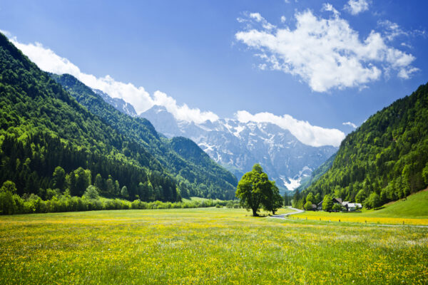 Slovenia Introduces the New Digital Nomad EU Residence Permit, Effective 20 November 2025